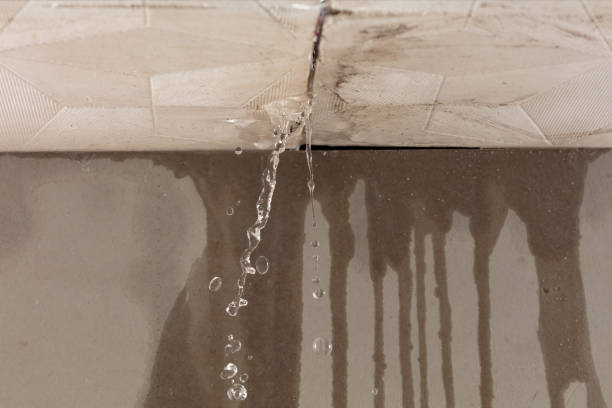 Professional Water Extraction technician working in Newberry, FL